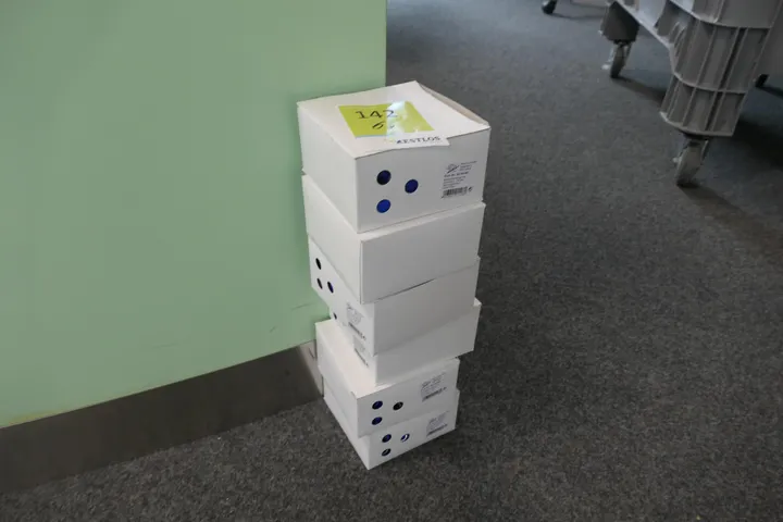 6x Karton Schlüsselanhänger